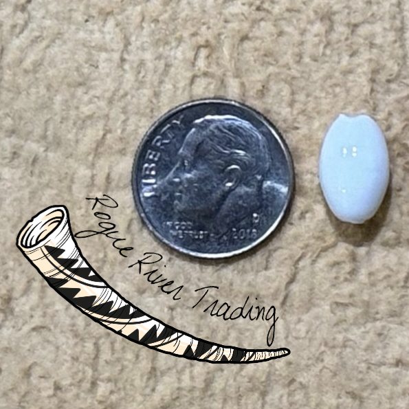 White Barley Corn Bead ~11x7mm (30 count)