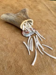 1.5"-2" 1lb (1/2 kg) Dentalium, approx. 500 shells