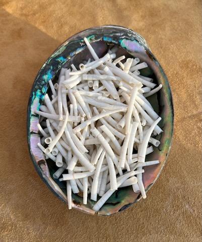 1.5"-2" 1lb (1/2 kg) Dentalium, approx. 500 shells