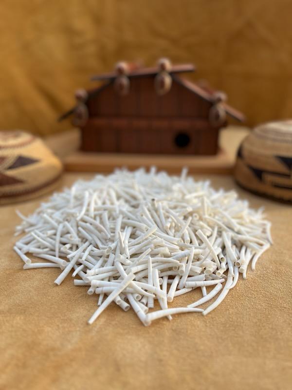1.5"-2" 1lb (1/2 kg) Dentalium, approx. 500 shells